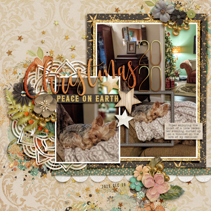 Christmas 2020 Peace On Earth