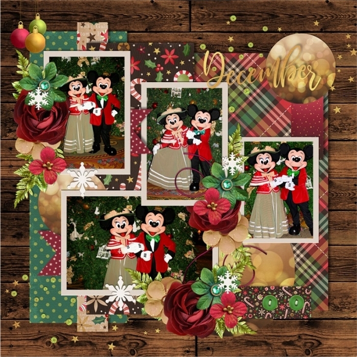 December_Mouse