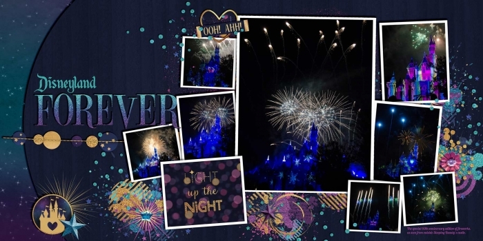 ~Disneyland Forever~