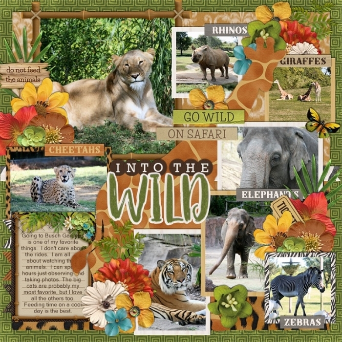 Into_the_Wild