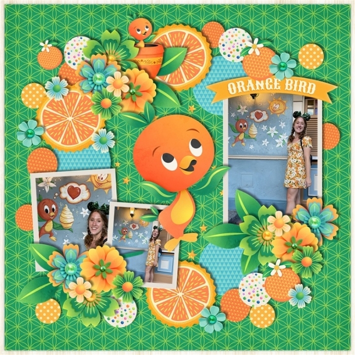 Orange_Bird