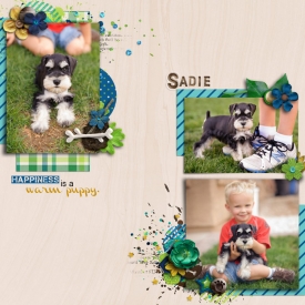 2012-07-16-Sadie.jpg
