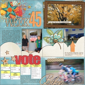 2014_week45a700w.jpg