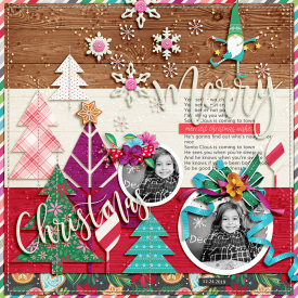 700ssdtnp-OHCHRISTMASTREE-PD4.jpg