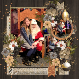 Boho_Christmas_.jpg