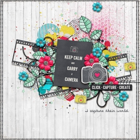 CaptureTheirWorld700.jpg