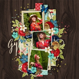 Gypsy2.jpg