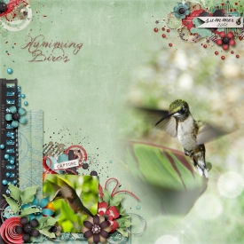 HummingBirds.jpg