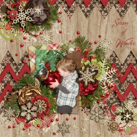 SeasonOfWonder.jpg