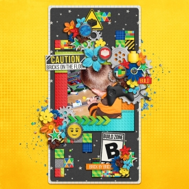 buildzoneF700.jpg