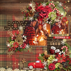 christmasjoyF700.jpg