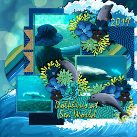 dolphins-sw-519.jpg