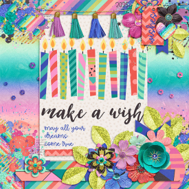 makeawish_web.png