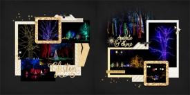 web_2018_December30_Longwood_treelights_SwL_SimpleandSweetLifeTemplate12_14.jpg