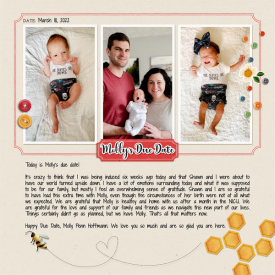 web_2022_03_Mar18_DueDate_SwL_SimpleJournalTemplate4.jpg