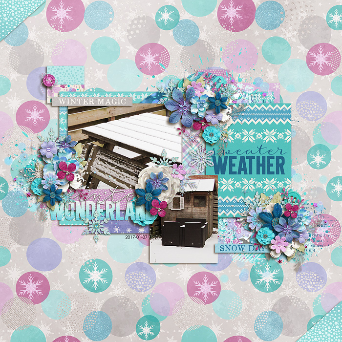 winterwonderlandF700