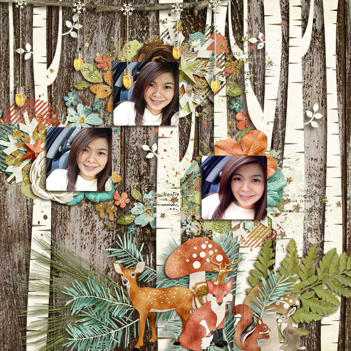 woodlandwinterz