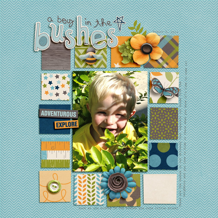2014-08-06-A-Boy-In-The-Bushes