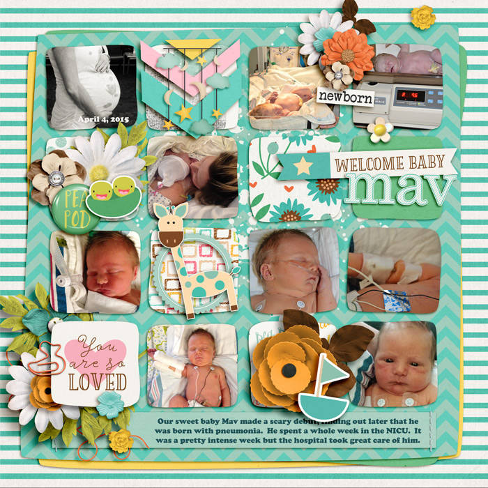 2015-04-04-Welcome-Baby-Mav