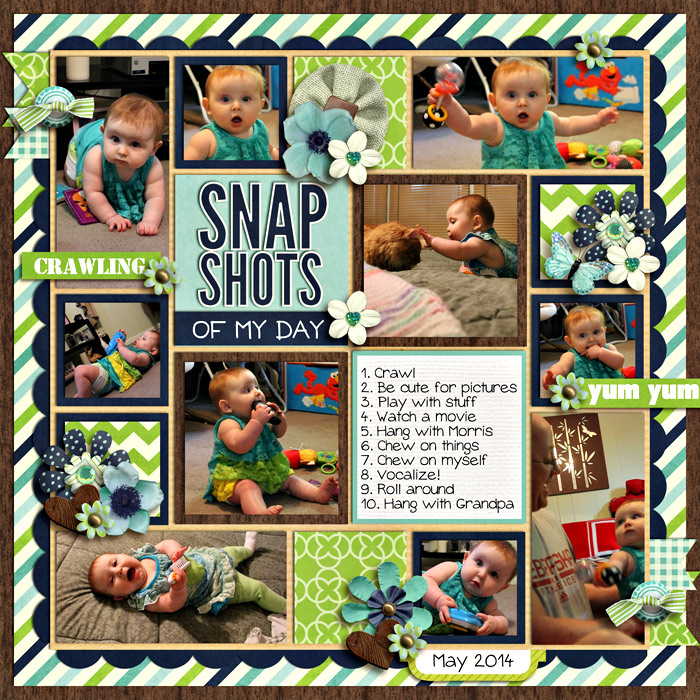 Snapshots-of-My-Day