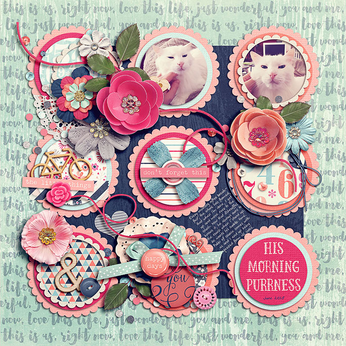 alove-trifecta14-7001