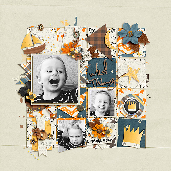 bmagee_singleton26_itsamystery_sbasictreed_wildthing_ttt83