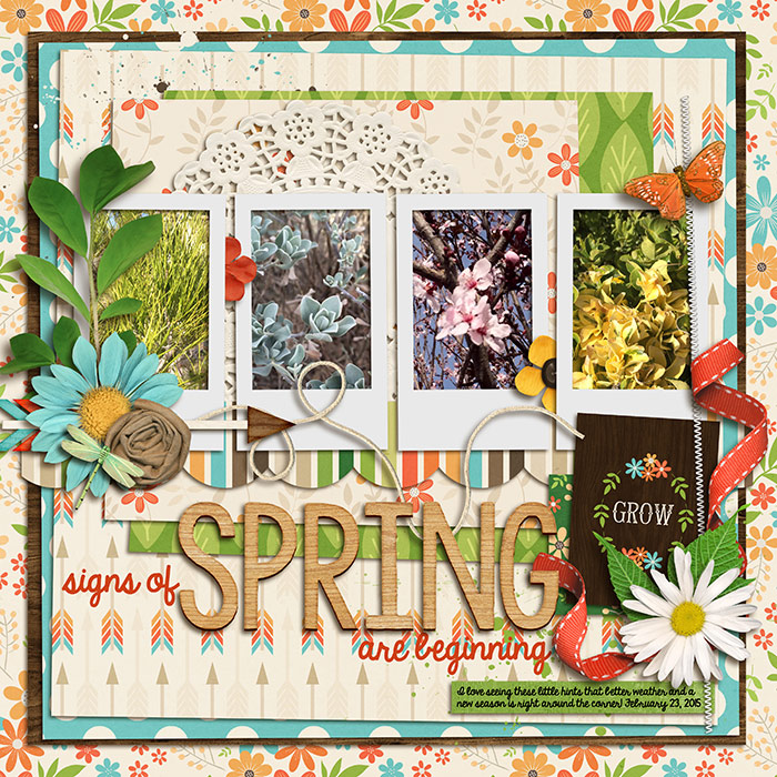 feb15--signs-of-Spring