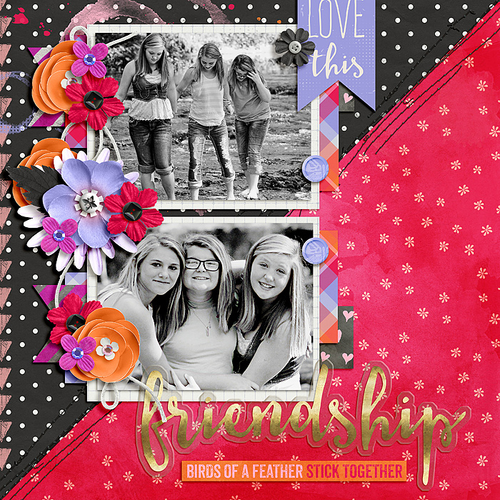 friendship_SSD_mrsashbaugh