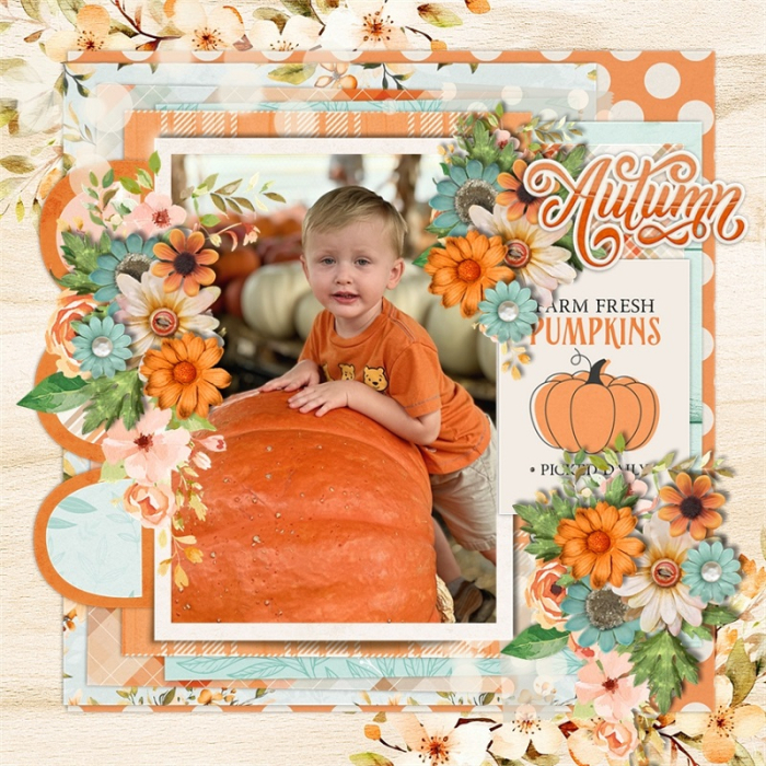 Pumpkin_Patch2