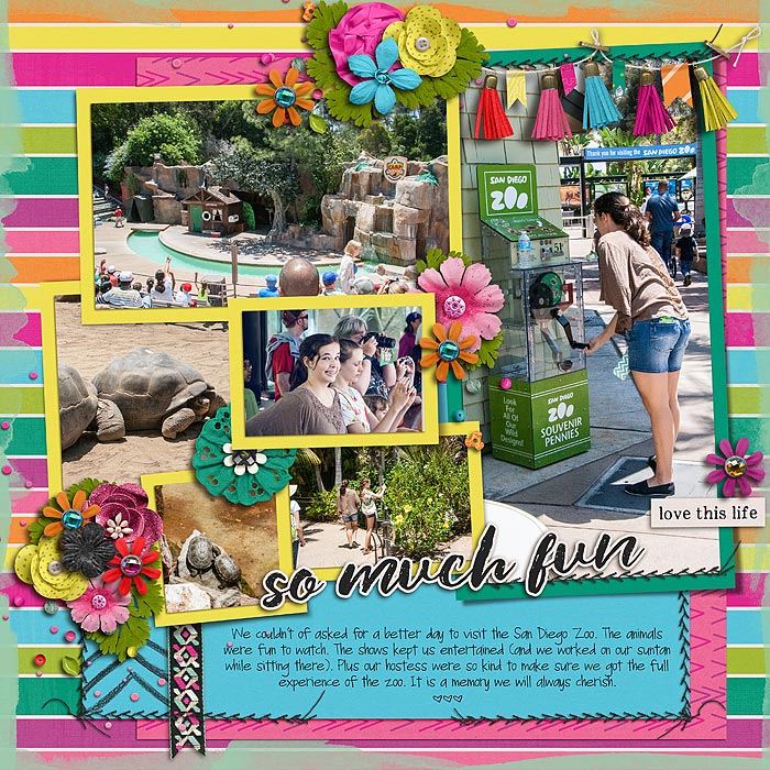 so-much-fun-at-the-zoo