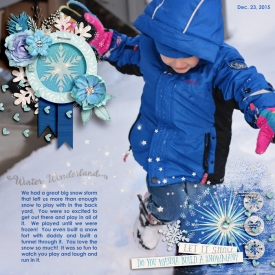 2015-12-23-Winter-Wonderland.jpg
