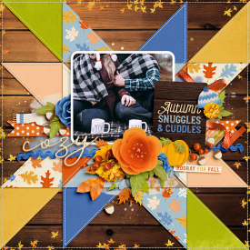 BrookiesMemoryQuilt-Set2_SYSDuo-Fall2.jpg