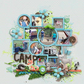 Camping-Mt-Graham-2011-page-4Web.jpg