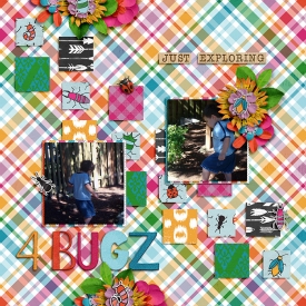 Just-Exploring-4-Bugz.jpg