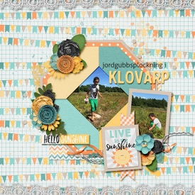 Klovarp-2015-07-17-Hanna.jpg