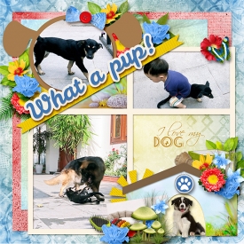 NTTD_Long_999_LouiseL_My-dog-and-me_Temp-bmagee-singleton16-puppypal.jpg