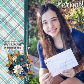 Permit1.jpg