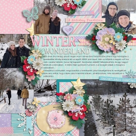 Winterwonderlandbt.jpg