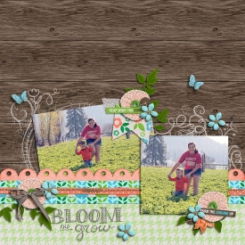 bloom-and-grow6.jpg