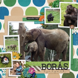 boras-zoo-Hanna.jpg