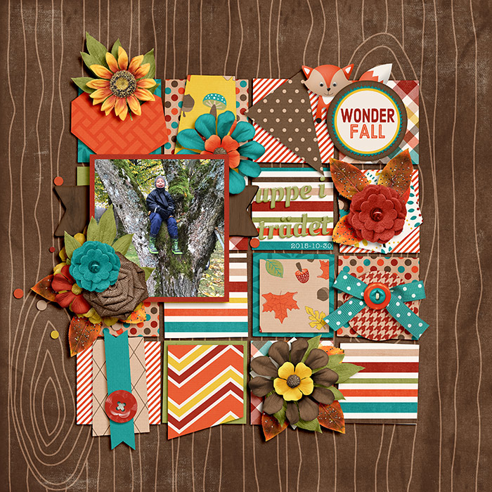 wonder-fall-Hanna1