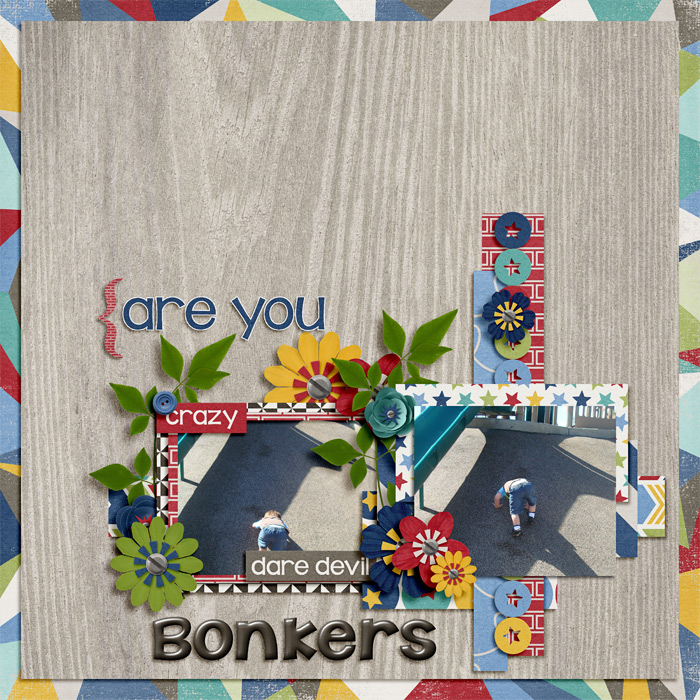 Are-You-Bonkers