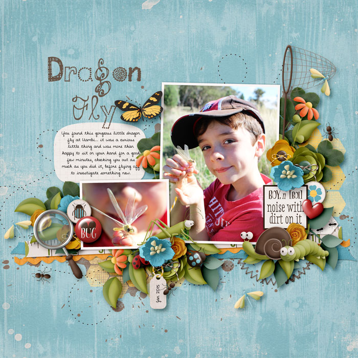 Dragon-fly