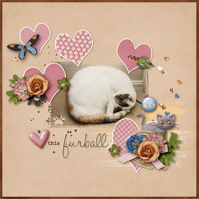 Furball