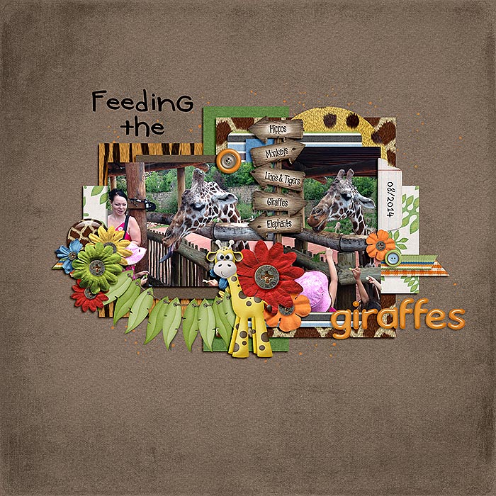 Giraffefeeding-copy
