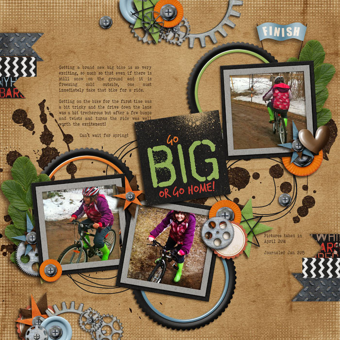 GoBigBike_Jan2015