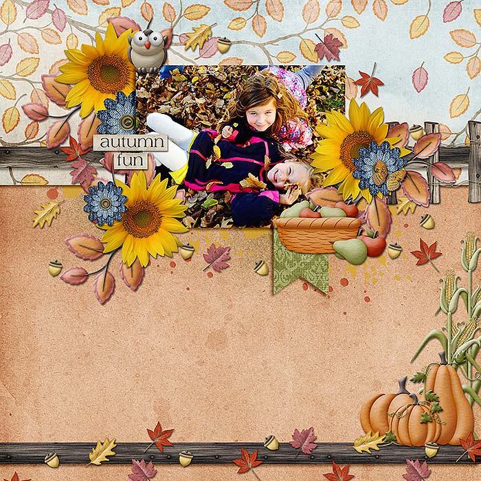 Harvestlayout-copy