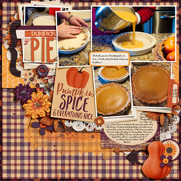 PumpkinPie_ThanksgivingFoodPrep_11-26-14
