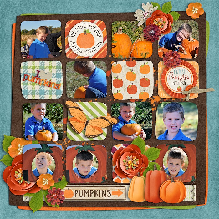 Pumpkin_patch_700