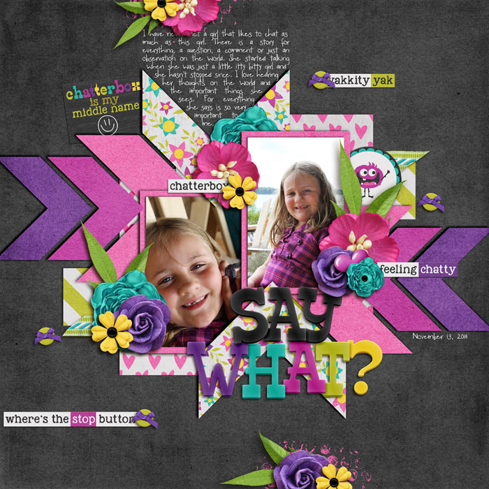 SayWhatChatterbox_Nov2014